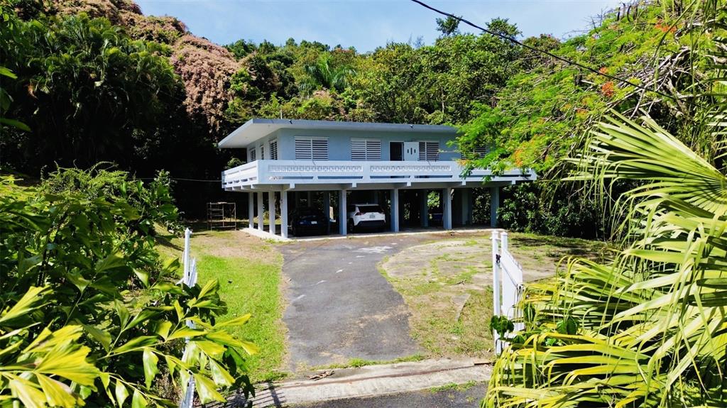 A two-story house on stilts sits in a lush, wooded area with a paved driveway — Bo Ciénega Alta SECTOR LA RUEDA CARR#959 UNIT Solar -A, RIO GRANDE, PR