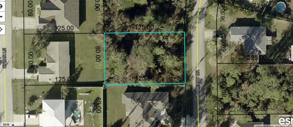 This aerial map shows a rectangular vacant residential lot outlined in blue — 6 RYBERRY DRIVE, PALM COAST, FL