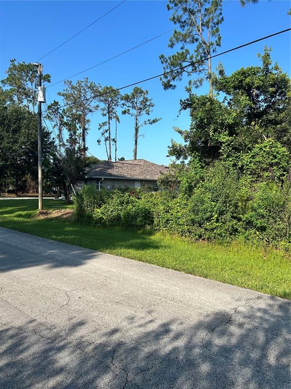A view of a house exterior partially obscured by trees and bushes from a road — 6 RYBERRY DRIVE, PALM COAST, FL
