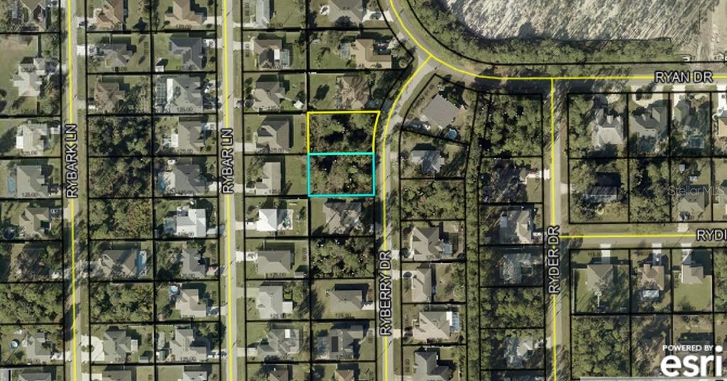 This is an aerial map showing two highlighted residential lots located along Ryberry Drive — 6 RYBERRY DRIVE, PALM COAST, FL