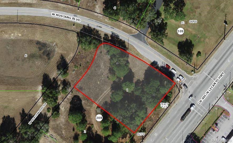 This aerial map shows a vacant, wooded lot outlined in red at a road intersection — 2314 W PERCHWOOD DRIVE, BEVERLY HILLS, FL