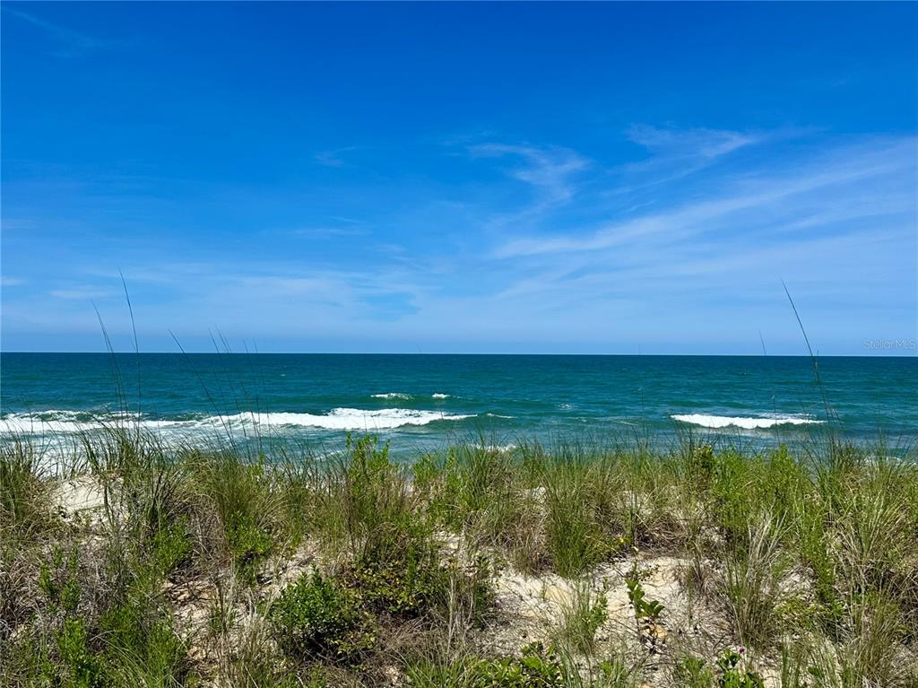 A view of the ocean and waves from behind a grassy sand dune — 3510 S OCEAN SHORE BOULEVARD UNIT 112, FLAGLER BEACH, FL
