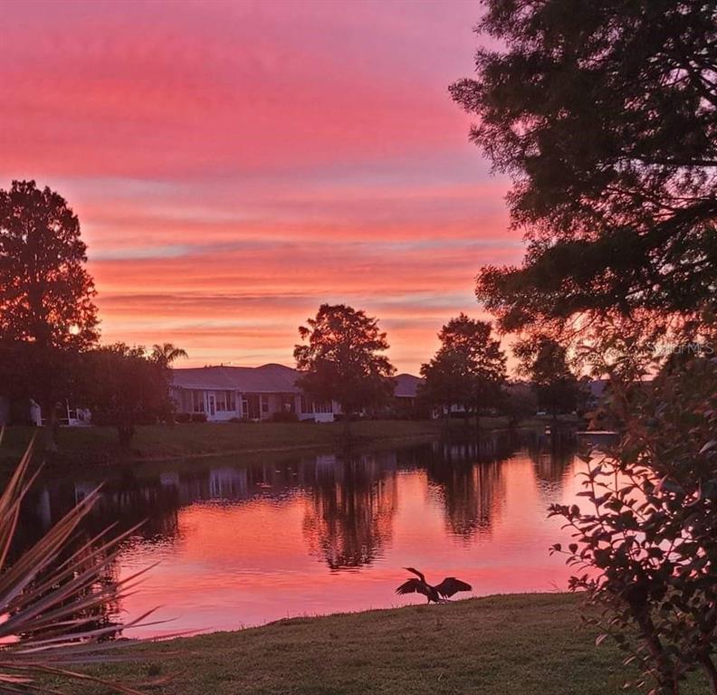 A bird stands on the grassy bank of a pond reflecting a vibrant pink sunset — 834 TREMONT GREENS LANE UNIT 137, SUN CITY CENTER, FL
