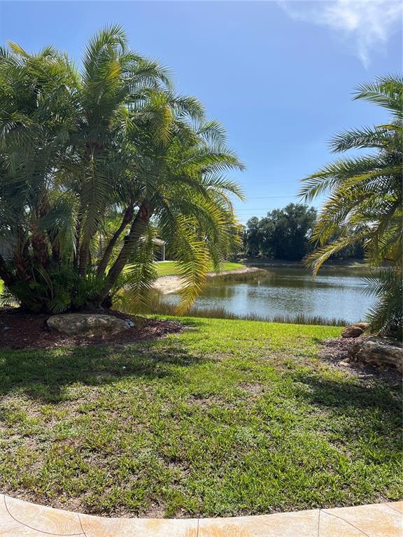 A view of a pond and palm trees from a paved patio area — 2344 CARAWAY DRIVE, VENICE, FL