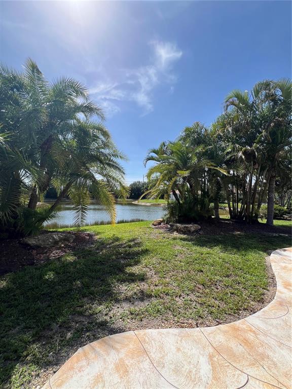 A view of a grassy backyard with palm trees overlooking a small pond — 2344 CARAWAY DRIVE, VENICE, FL