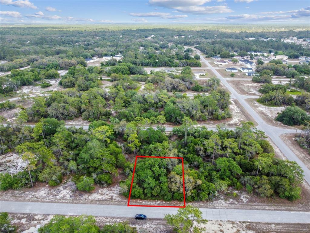 An aerial view shows a rectangular, tree-covered vacant lot outlined in red along a paved road — 1305 HOMOSASSA COURT, KISSIMMEE, FL