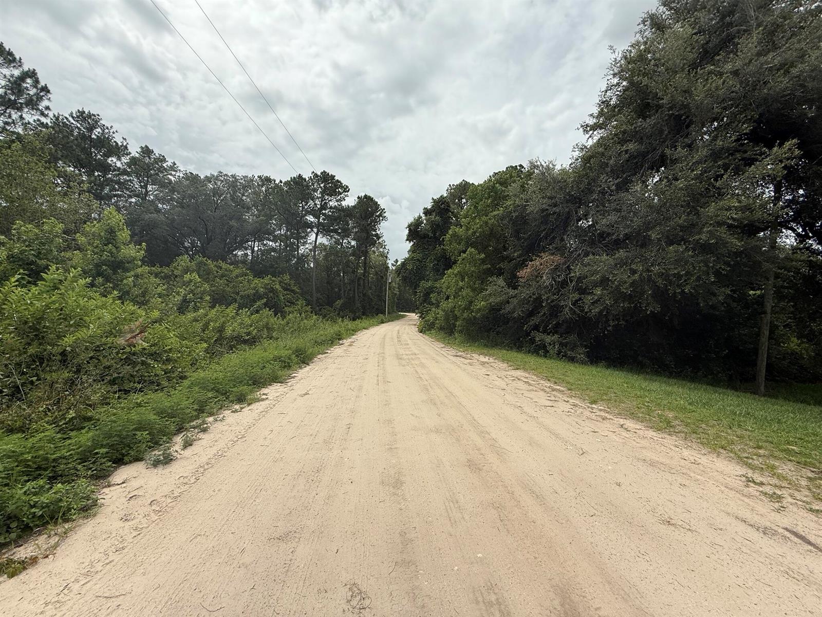 A dirt road stretches through a wooded area under a cloudy sky — 129 Fishermans Drive, FL 32148, FL
