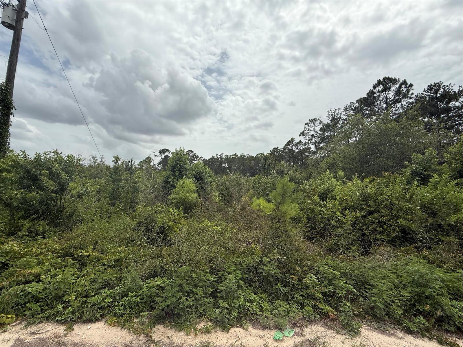 A view of a densely wooded, undeveloped lot with a utility pole on the left — 129 Fishermans Drive, FL 32148, FL
