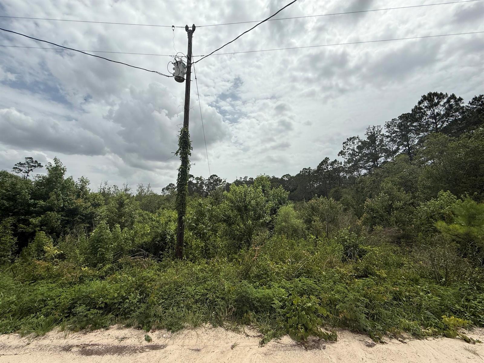 A utility pole with a transformer stands in front of a wooded, overgrown lot — 129 Fishermans Drive, FL 32148, FL