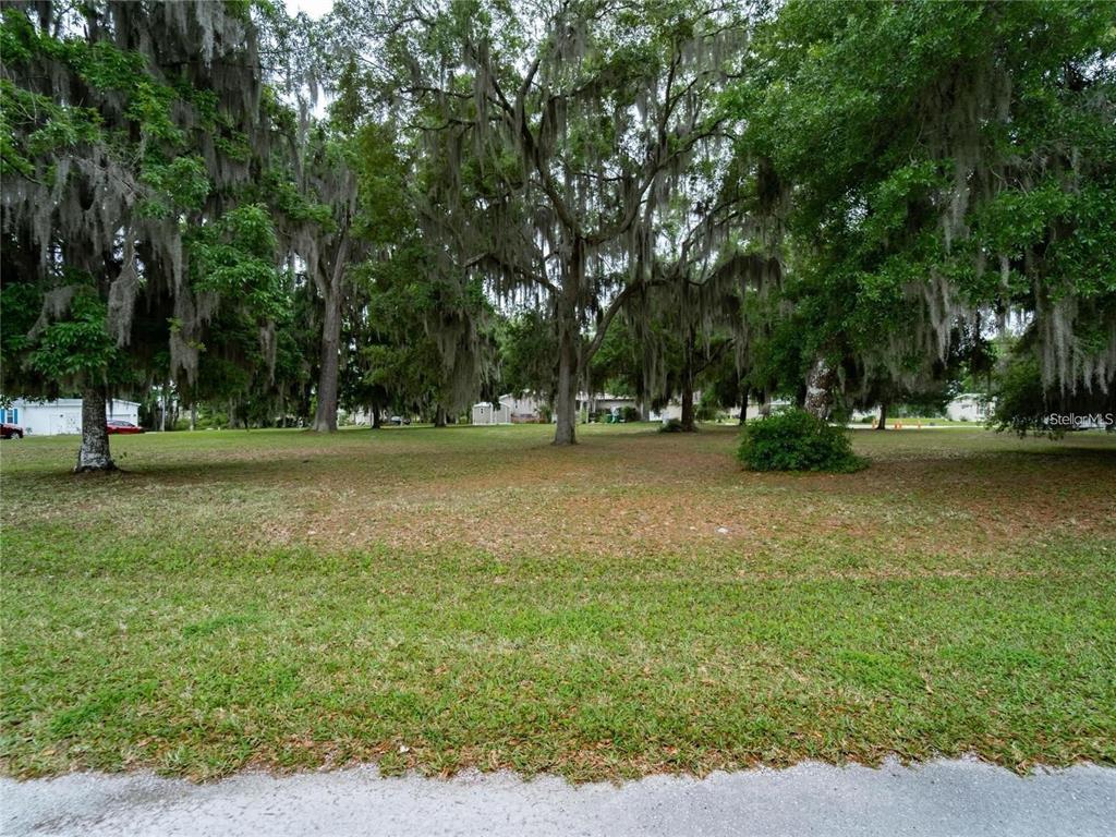 A grassy, tree-filled vacant lot with Spanish moss hanging from the branches — LOT 54 BLK C LEXINGTON CIRCLE, WILDWOOD, FL