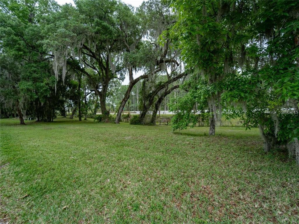 A grassy lot features several large, moss-draped oak trees under a bright sky — LOT 54 BLK C LEXINGTON CIRCLE, WILDWOOD, FL