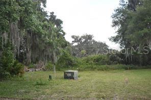 A vacant, grassy lot features a utility box and mature trees with Spanish moss — LOT 54 BLK C LEXINGTON CIRCLE, WILDWOOD, FL