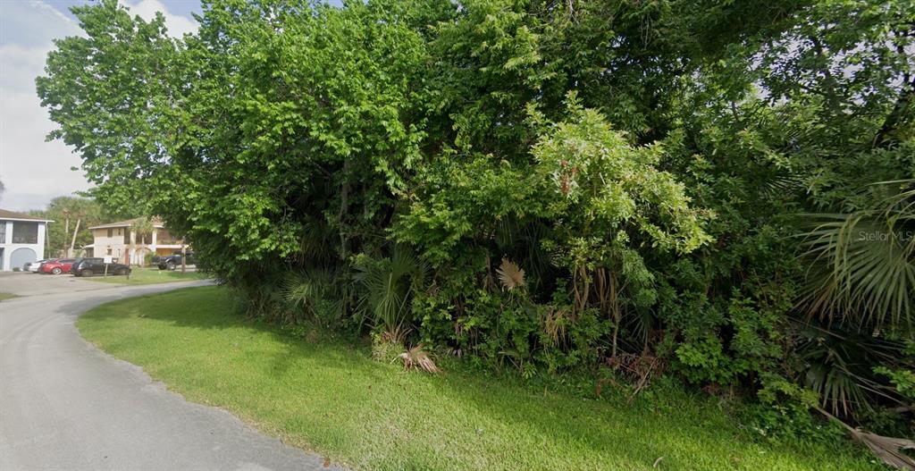 A paved road curves past a dense thicket of trees and shrubs near residential buildings — 2391 FOX HOLLOW DRIVE, TITUSVILLE, FL
