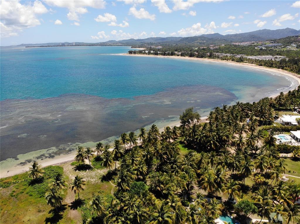 An aerial view shows a sandy beach lined with palm trees along a blue bay — 968 CAMINO LAS PICUAS 1, RIO GRANDE, PR