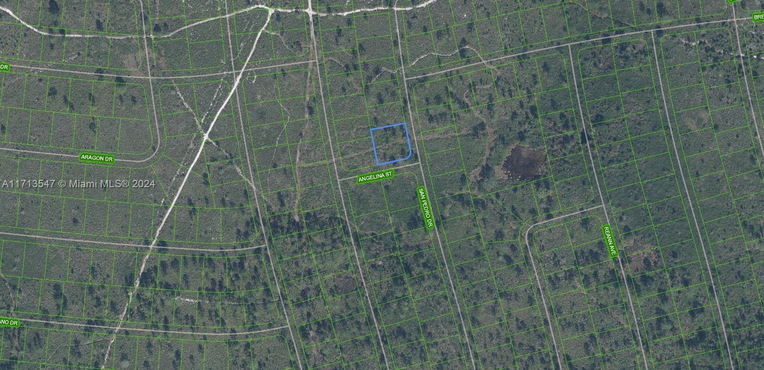 This is an aerial map showing a vacant lot outlined in blue near San Pedro Drive — 4703 San Pedro Drive, Sebring FL 33872, SEBRING, FL