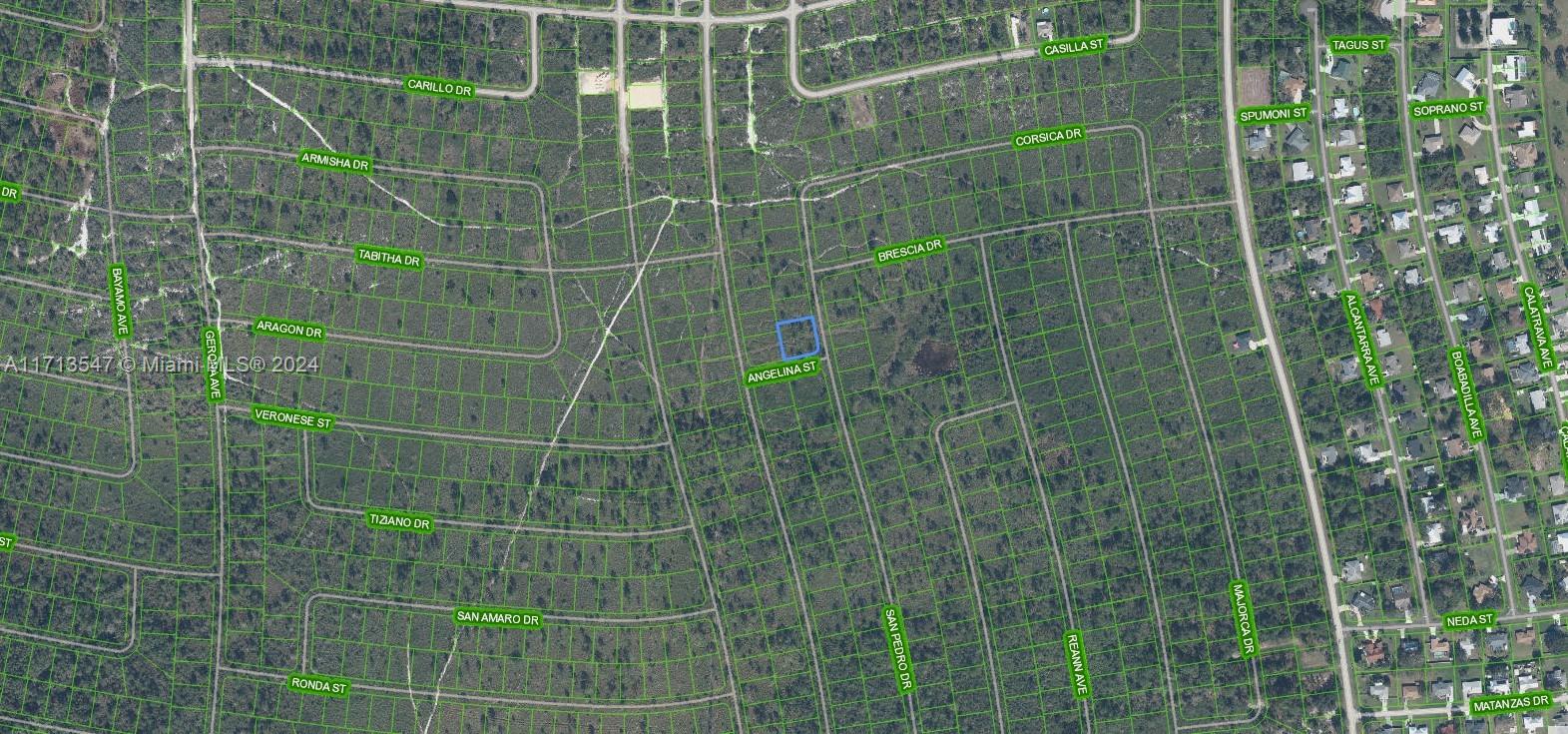 This is an aerial map showing a highlighted vacant lot within a residential grid — 4703 San Pedro Drive, Sebring FL 33872, SEBRING, FL