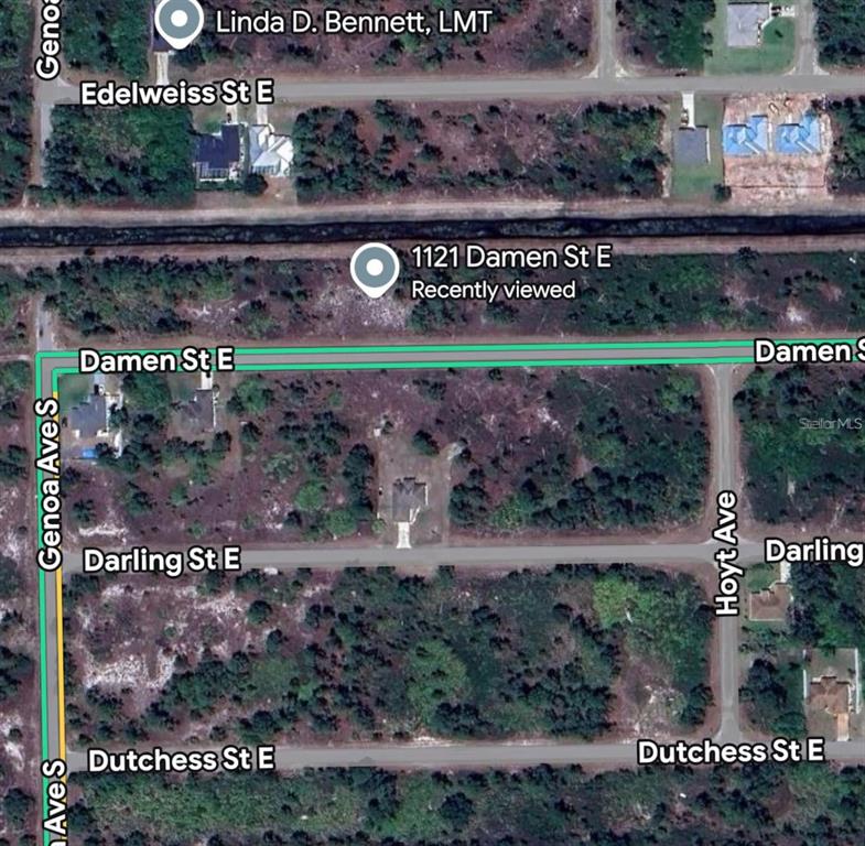 This is an aerial map view showing a residential lot with a single house — 1121 DAMEN STREET E, LEHIGH ACRES, FL