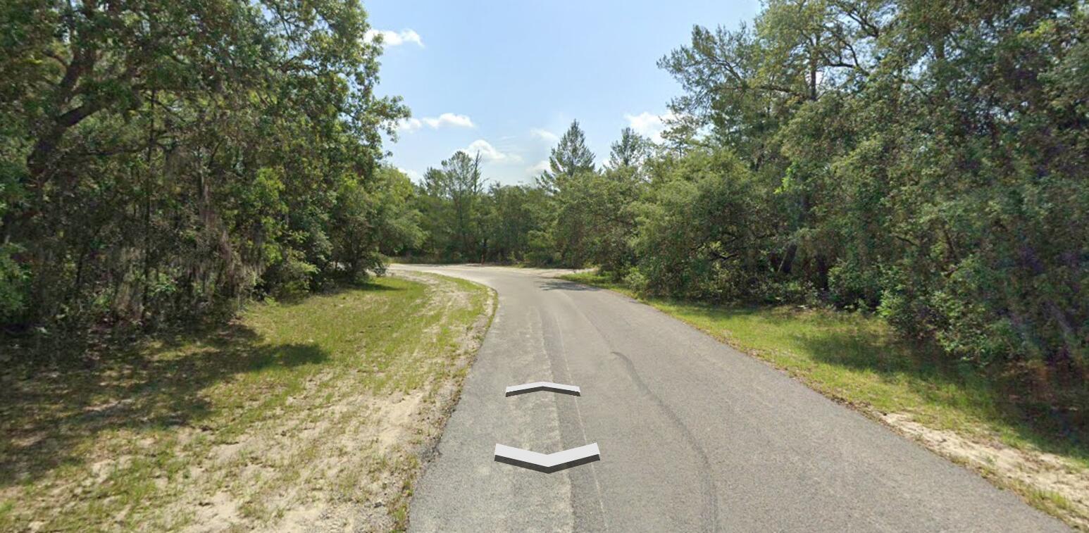 A paved road curves through a wooded area with trees on both sides — Tbd SW 72nd Circle, FL 34432, FL