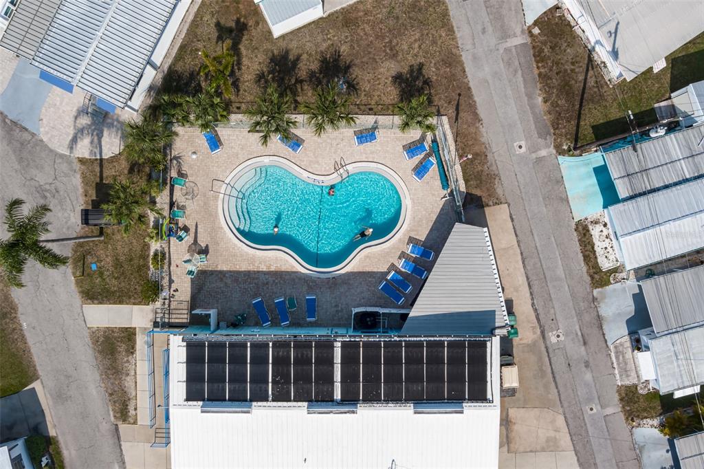 An aerial view shows a kidney-shaped swimming pool surrounded by lounge chairs and palm trees — 198 TANKEY DRIVE, PALMETTO, FL