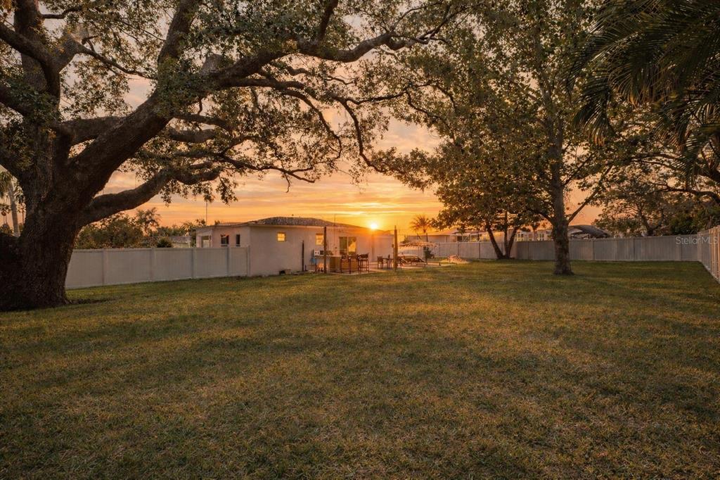 A large backyard with a grassy lawn, mature trees, and a house at sunset — 1579 BAYSHORE BOULEVARD, DUNEDIN, FL