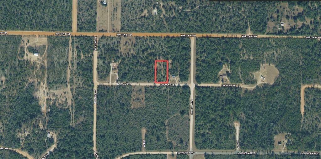 This is an aerial map showing a rectangular plot of land outlined in red — LINCOLN AVENUE, ALFORD, FL