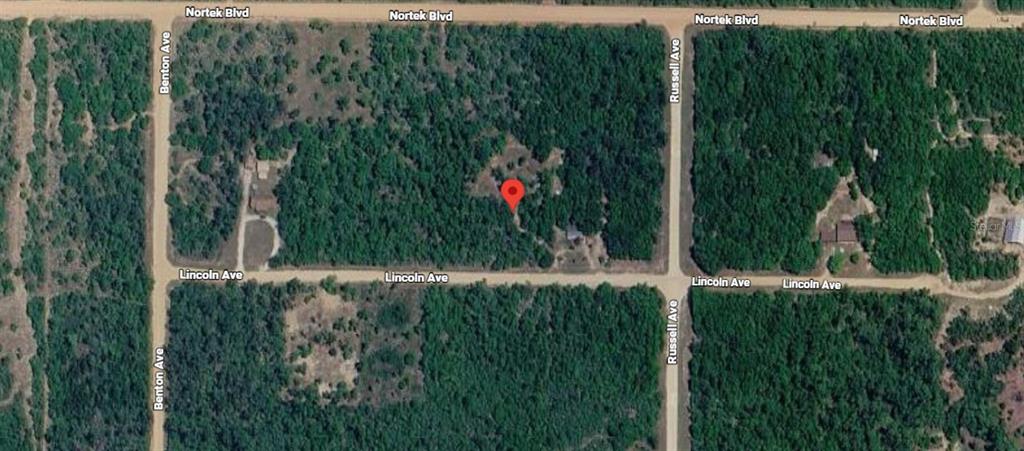 This is an aerial map showing a wooded lot with a red location pin — LINCOLN AVENUE, ALFORD, FL