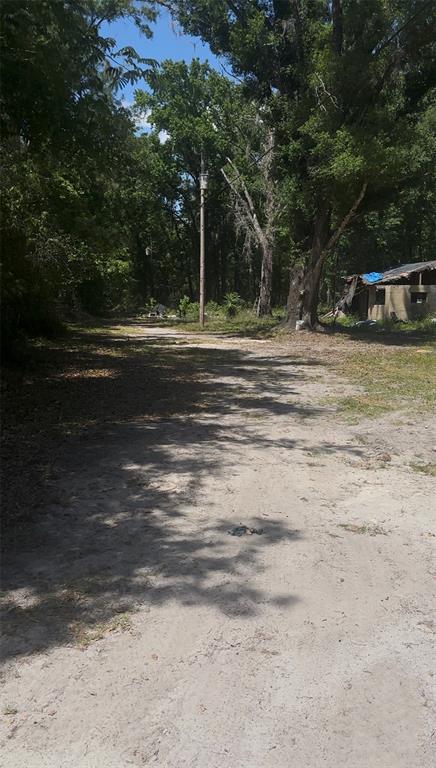 A dirt path leads through a wooded area toward a small, weathered structure — KUSAN STREET, NEW PORT RICHEY, FL