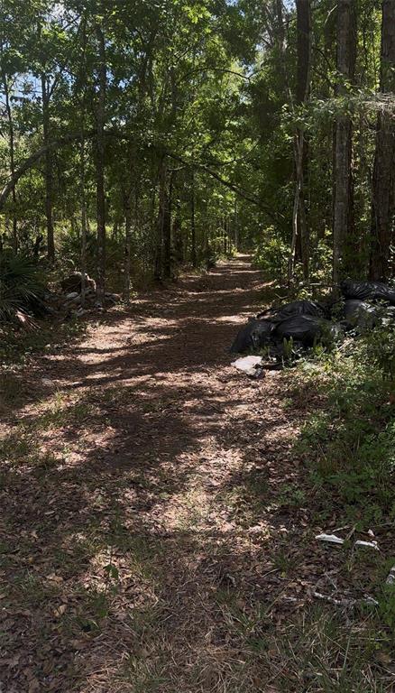 A dirt path leads through a wooded area with several black trash bags on the right — KUSAN STREET, NEW PORT RICHEY, FL