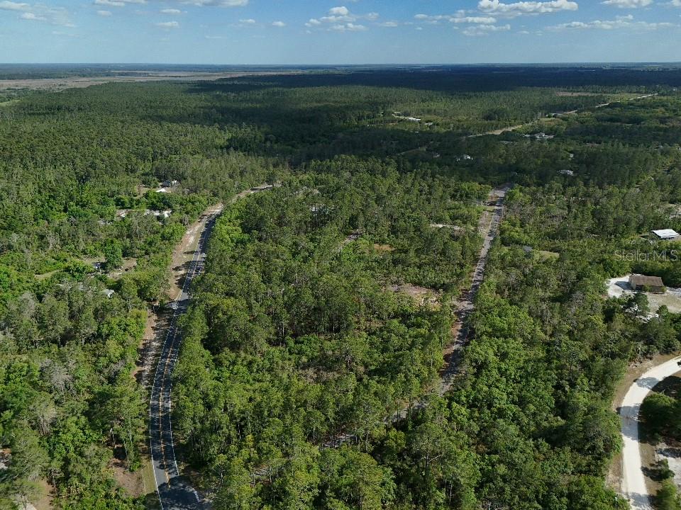 An aerial view shows a paved road winding through a wooded, rural residential area — 0 FISHER TRACE DR, OCKLAWAHA, FL