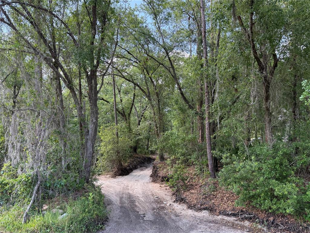 A dirt path winds through a wooded area with tall trees and hanging moss — CREEKWOOD RUN, LAKELAND, FL