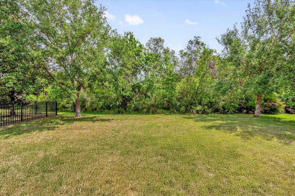 A grassy backyard features a black metal fence and a dense line of trees — 6137 WATERSIDE ISLAND LANE, WINTER GARDEN, FL