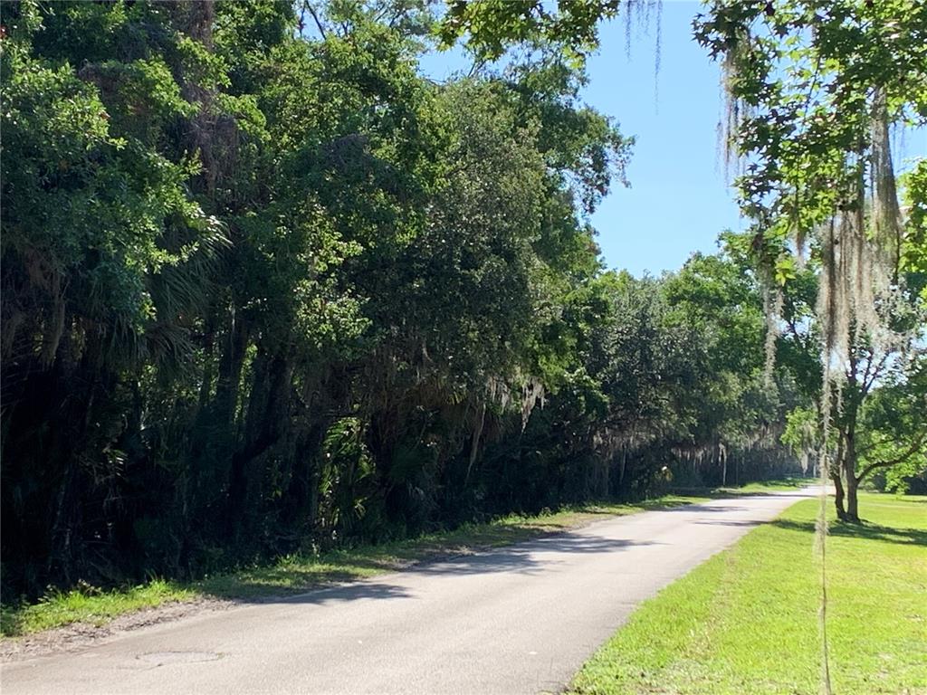 A paved road winds through a wooded area with Spanish moss hanging from the trees — 1310 PALM WAY, SANFORD, FL