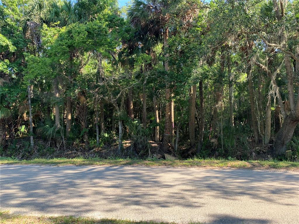 A paved road runs in front of a densely wooded lot with various trees — 1310 PALM WAY, SANFORD, FL