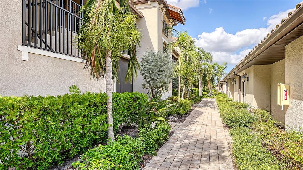 A paved walkway leads between two residential buildings lined with palm trees and green hedges — 5710 PALMER CIRCLE UNIT 201, BRADENTON, FL