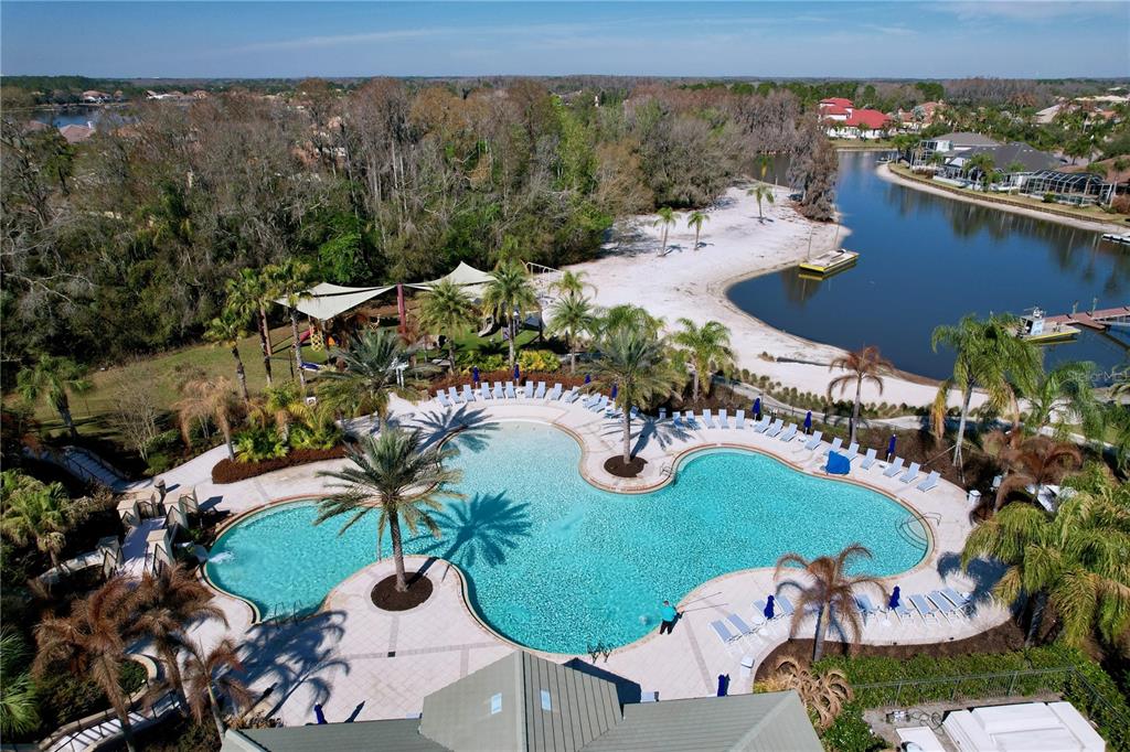 A two-story stucco house with a brick driveway and two palm trees in the front — 15246 ANGUILLA ISLE AVENUE, TAMPA, FL