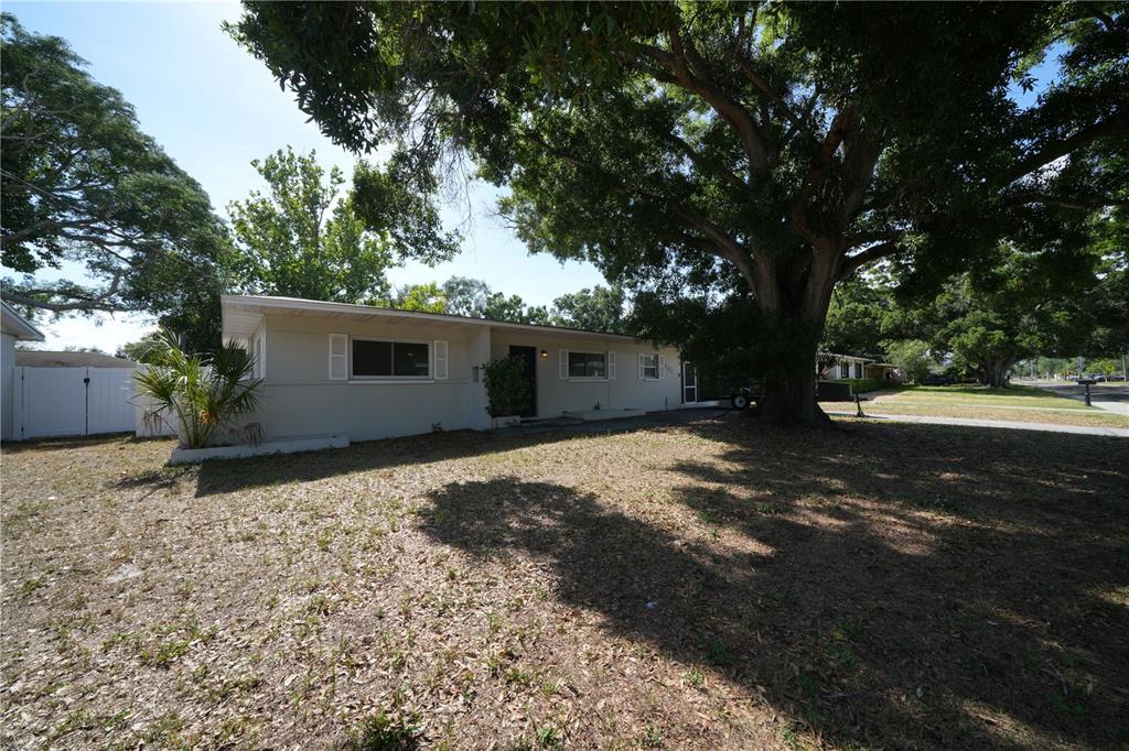 A single-story house with a large tree in the front yard — 4517 S CLARK AVENUE, TAMPA, FL