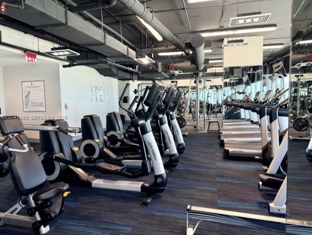 This gym features rows of elliptical machines and treadmills on a blue-patterned carpeted floor — 601 NE 36th St # 803, Miami FL 33137, MIAMI, FL