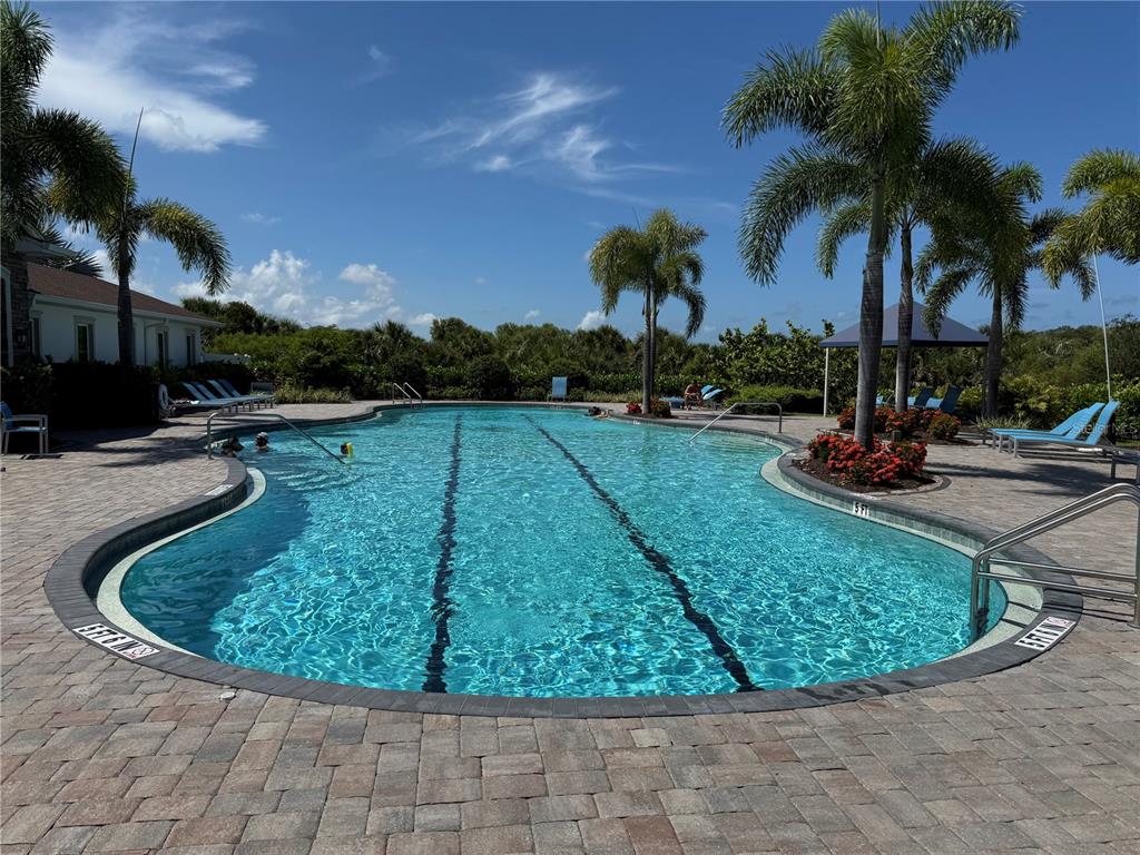 A swimming pool with lap lanes is surrounded by a brick patio and palm trees — 12760 LATERAL ROOT DRIVE, SARASOTA, FL