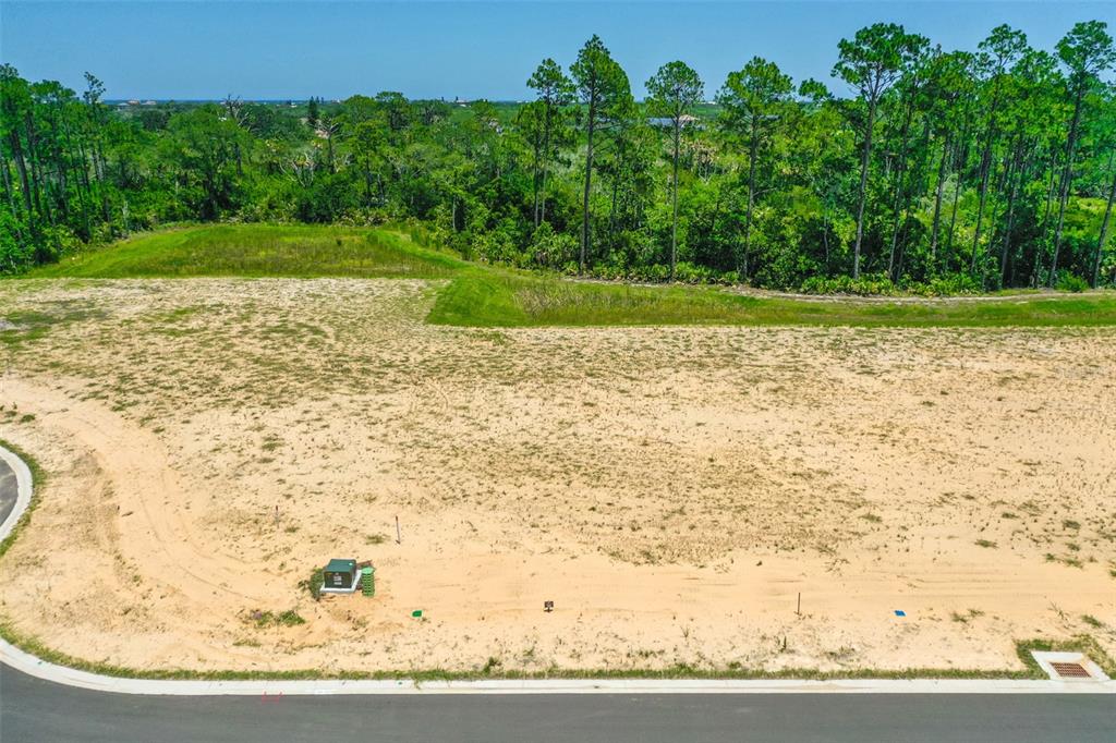 234 STILLWATER DRIVE, FLAGLER BEACH, FL — photo 2 of 30