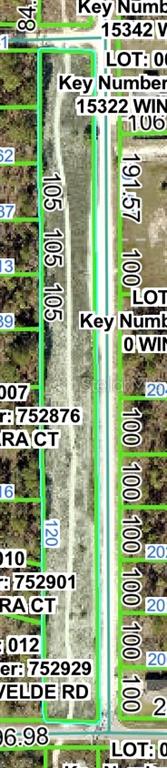 This is a property map showing a long, narrow rectangular parcel of land — SENATOR ROAD, BROOKSVILLE, FL