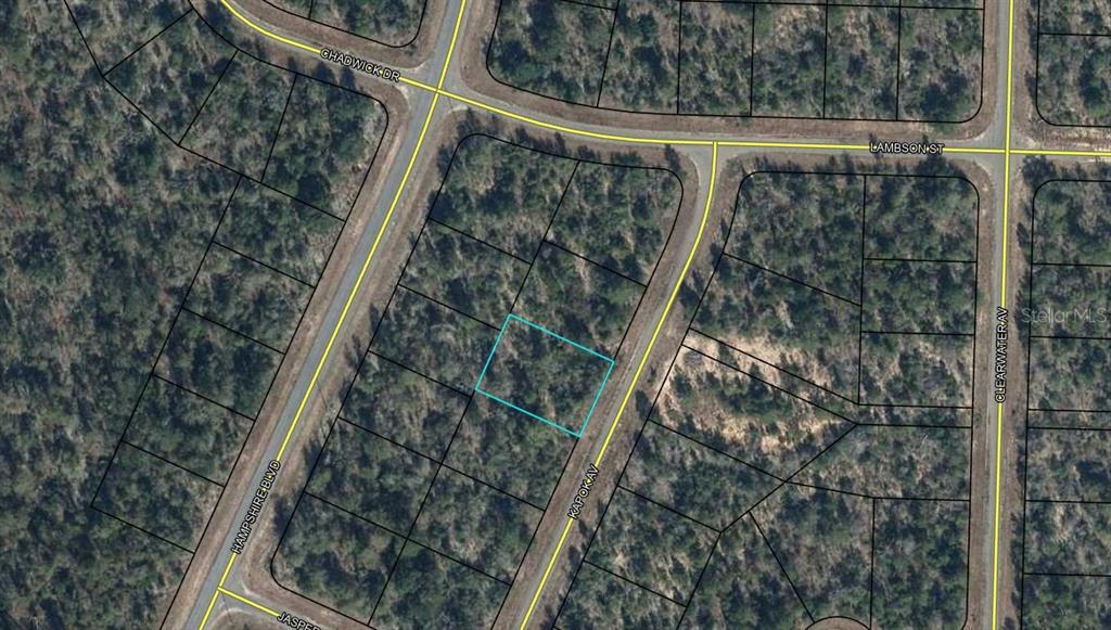 This is an aerial map showing a vacant lot highlighted in blue within a residential neighborhood — Lot 3 Unit 11 Blk 752 KAPOK AVENUE, CHIPLEY, FL