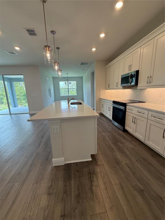 A modern kitchen features white cabinets, a large island, and wood-look flooring — 13769 SW 64TH STREET ROAD, OCALA, FL