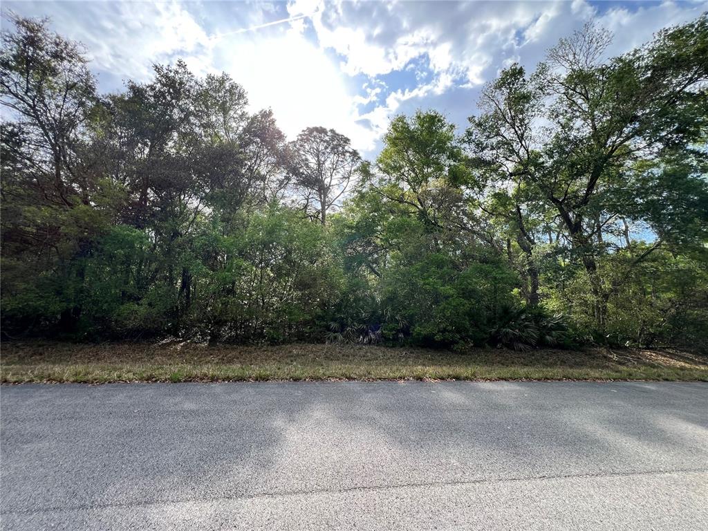 A paved road runs in front of a densely wooded, undeveloped lot — NW 74TH COURT UNIT 112, CHIEFLAND, FL
