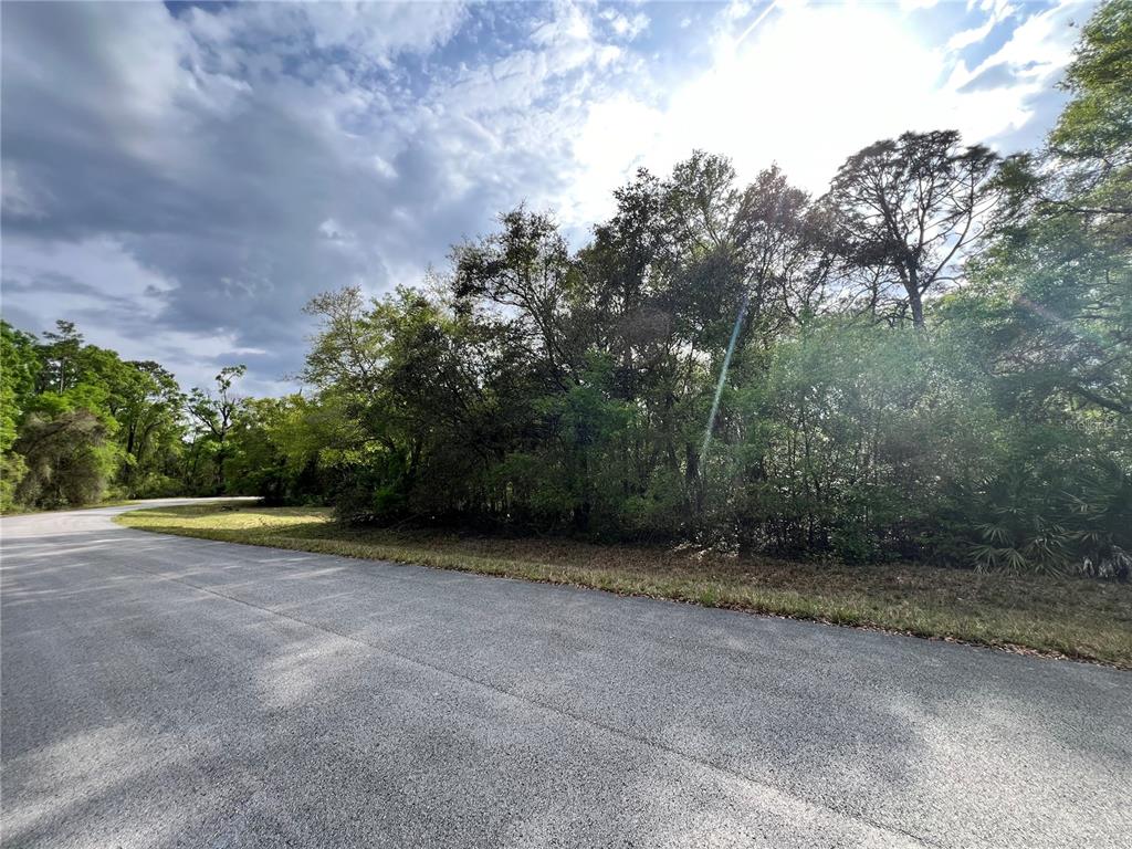 A paved road curves past a wooded lot with dense trees under a cloudy sky — NW 74TH COURT UNIT 112, CHIEFLAND, FL