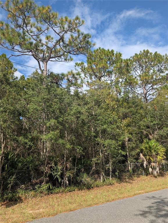 A paved road runs alongside a wooded lot enclosed by a chain-link fence — 6499 W HERITAGE DRIVE, HOMOSASSA, FL