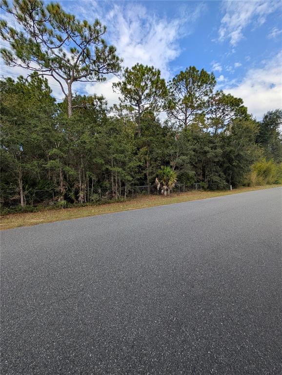 A paved road runs alongside a wooded lot with tall pine trees and dense vegetation — 6499 W HERITAGE DRIVE, HOMOSASSA, FL