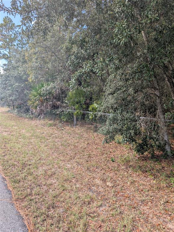 A chain-link fence separates a grassy roadside area from a dense, wooded forest — 6499 W HERITAGE DRIVE, HOMOSASSA, FL
