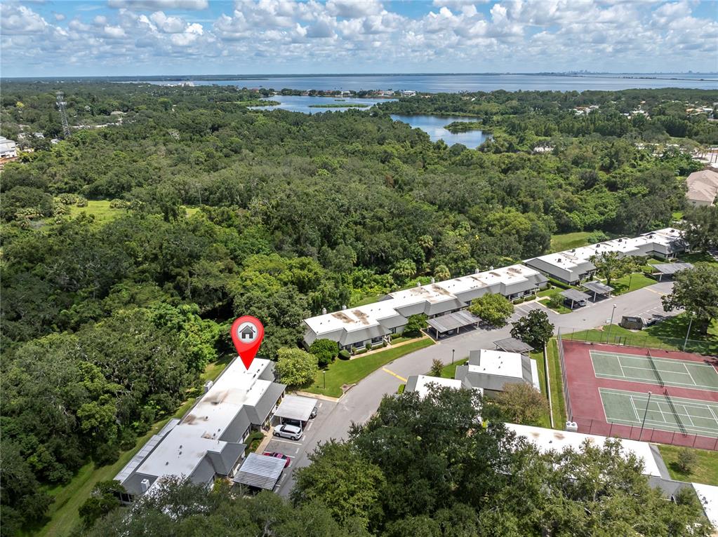 An aerial view shows a residential complex with tennis courts, parking, and surrounding forest — 1377 N MCMULLEN BOOTH ROAD, CLEARWATER, FL