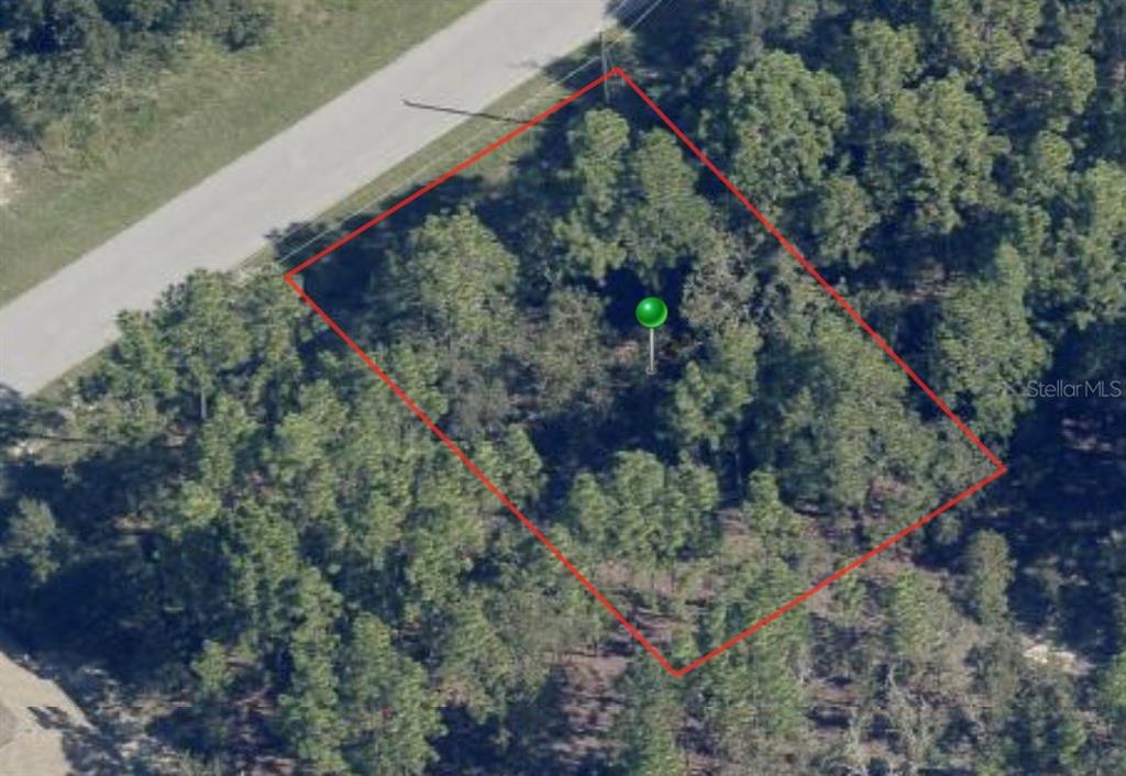 An aerial view shows a rectangular, wooded plot of land outlined in red near a road — 816 W SMALLMAN PLACE, CITRUS SPRINGS, FL