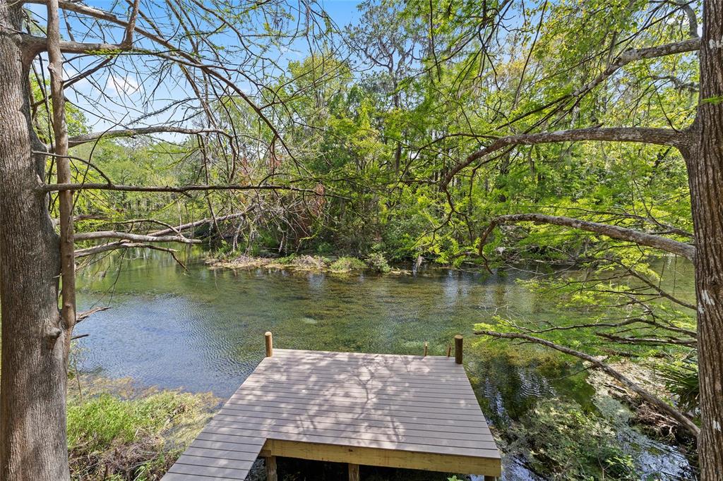 A wooden dock extends into a clear, spring-fed river surrounded by lush green trees — 10894 SW 185TH TERRACE, DUNNELLON, FL